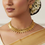 Pearl-Stones-Lakshmi-Coin-Necklace