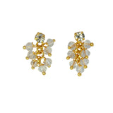 Elegant Gold Plated Crystal Cluster Hanging Earrings - K Supreme